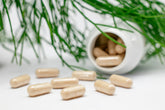 Educational Insights into the Role of Supplements in Primary Healthcare