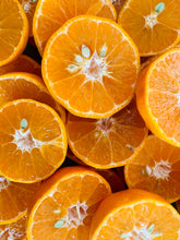 An Educational Guide to Balancing Vitamins with Your Healthcare Needs