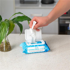 Ocean Healthcare Antibacterial Wipes 30pk Antibacterial Wipes,Feel Refreshingly Clean,Gentle on skin,issues,removing 99.9% of bacteria,Snap tight lid,Suitable for hands and body