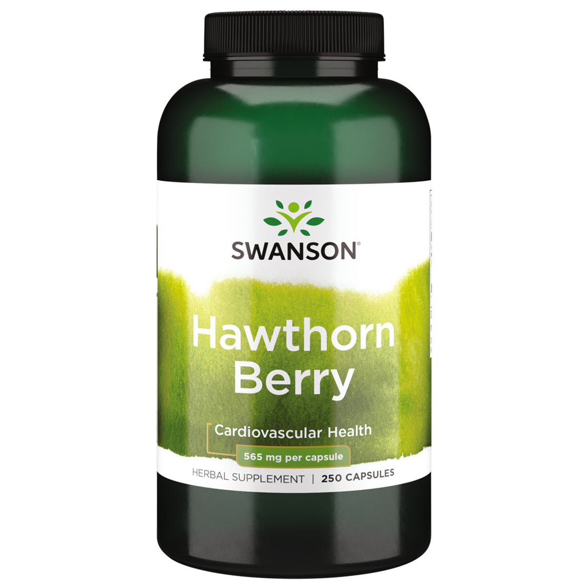 Swanson – Hawthorn Berry 565mg 250C blood,blood circulation,blood lipid,blood lipid levels,blood pressure,blood pressure monitor,google,hawthorn,Hawthorn Berry,healthy blood circulation,healthy blood lipid,Helps maintain optimal blood pressure,issues,Main