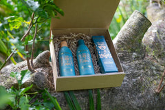 Henna Hair Trio Gift Pack Nourishes Hair Shampoo Conditioner Treatment