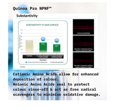 Holistic Quinoa Pro NPNF™ Colour Protect Shampoo Aids Styling,benefits of hair,Chemically treated hair,Colour Protect Shampoo,colour retention,Coloured hair,Conditions and Combats frizz,Curly hair,Damaged hair,dehydrated hair,Directions for U,dry hair,dry