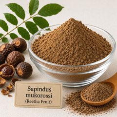 Radico Organic Reetha Fruit Powder beside dried Sapindus mukorossi fruit