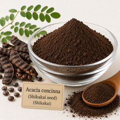 Radico Organic Shikakai Powder beside dried Acacia concinna pods