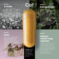 SRW Laboratories Cel 123 Rejuvenation Series | Cellular Renewal Support | Dietary Supplement (3x60 Veg Capsules)
