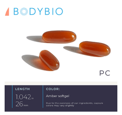 BodyBio PC (Phosphatidylcholine) better detox,Building cell membranes,consistent energy,improved brain function,issues,mental clarity,Protecting Cells,Rebuild And Maintain Brain Health,smoother digestion
