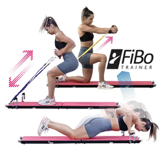 Allcare FIBO Trainer allcare,core strength,exercise,fib trainer,fibo trainer,google,issues,total gym,weight,weight loss,weight management,weight scale,weights loss