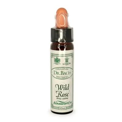 Bach Flowers Wild Rose Calms Emotions Homeopathic Remedy 10ml