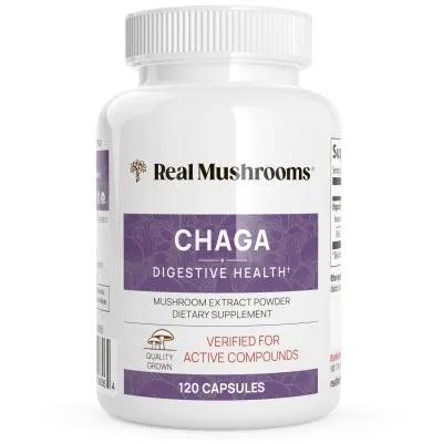 Chaga Extract - 120 caps product image