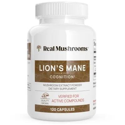Lion's Mane Extract - 120 caps product image