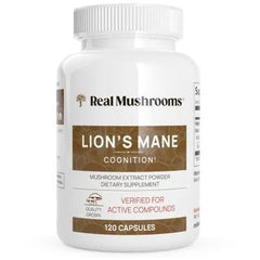 Lion's Mane Extract - 120 caps product image