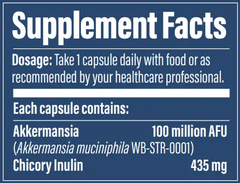 Pendulum Akkermansia For Gut Health And Barrier Support Dietary Supplement (30 Capsules)