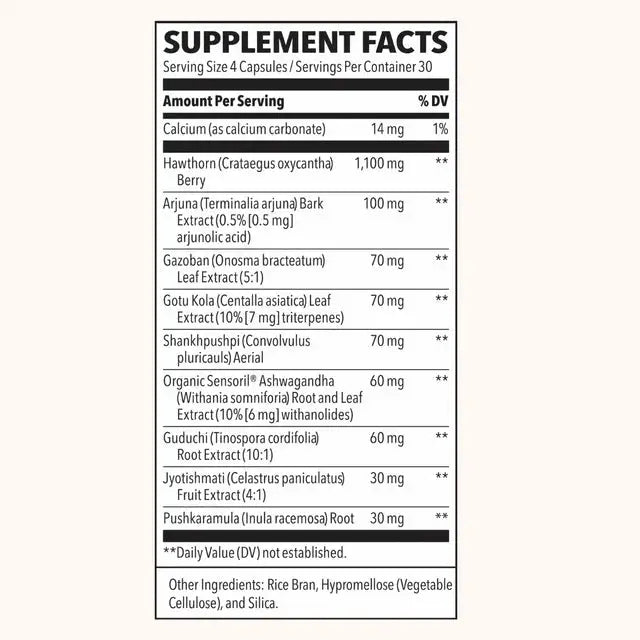 LifeSeasons B/P Stabili-T Blood Pressure Support and Circulation Health Dietary Supplement