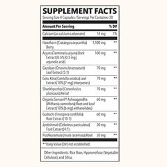 LifeSeasons B/P Stabili-T Blood Pressure Support and Circulation Health Dietary Supplement