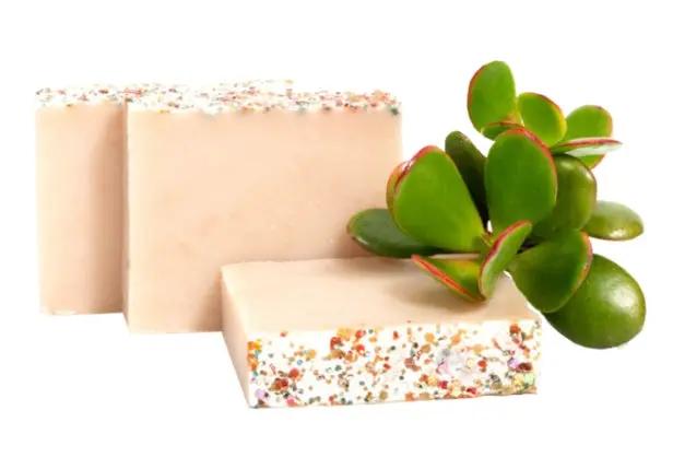 Nectar Beach Party Moisturising Soap Bar 100g Beach Party Soap,cold processed soap bars,issues,Moisturising Soap Bar