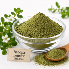 Radico Organic Brahmi Leaf Powder beside the Bacopa monnieri plant