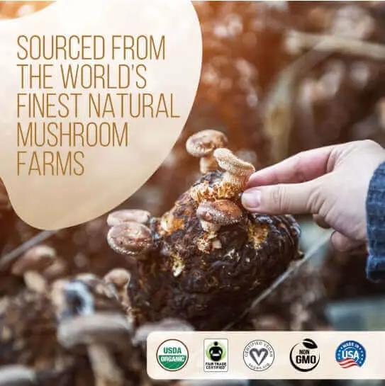 Decafe Instant Mushroom Coffee 35 Servings coffee,Decafe Coffee,Decafe Instant Mushroom Coffee,Multi vitamins,multivitamins,Mushroom Coffee,Rich in vitamins and minerals,vitamins,Vitamins & Supplements,vitamins and minerals,Vitamins and Supplements,vitami