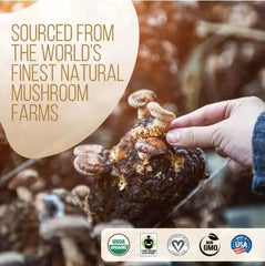 Decafe Instant Mushroom Coffee 35 Servings coffee,Decafe Coffee,Decafe Instant Mushroom Coffee,Multi vitamins,multivitamins,Mushroom Coffee,Rich in vitamins and minerals,vitamins,Vitamins & Supplements,vitamins and minerals,Vitamins and Supplements,vitami