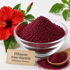 Radico Organic Hibiscus Flower Powder beside dried Hibiscus rosa-sinensis flowers