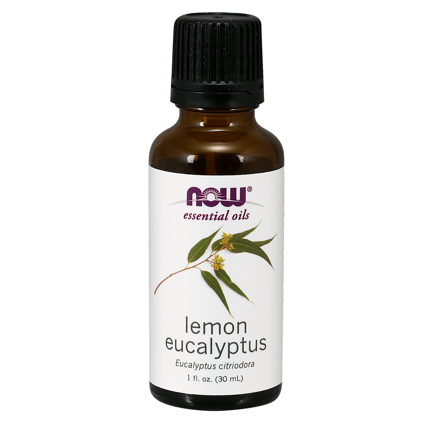 Lemon Eucalyptus 100% pure (Citriodora) Oil 30ml