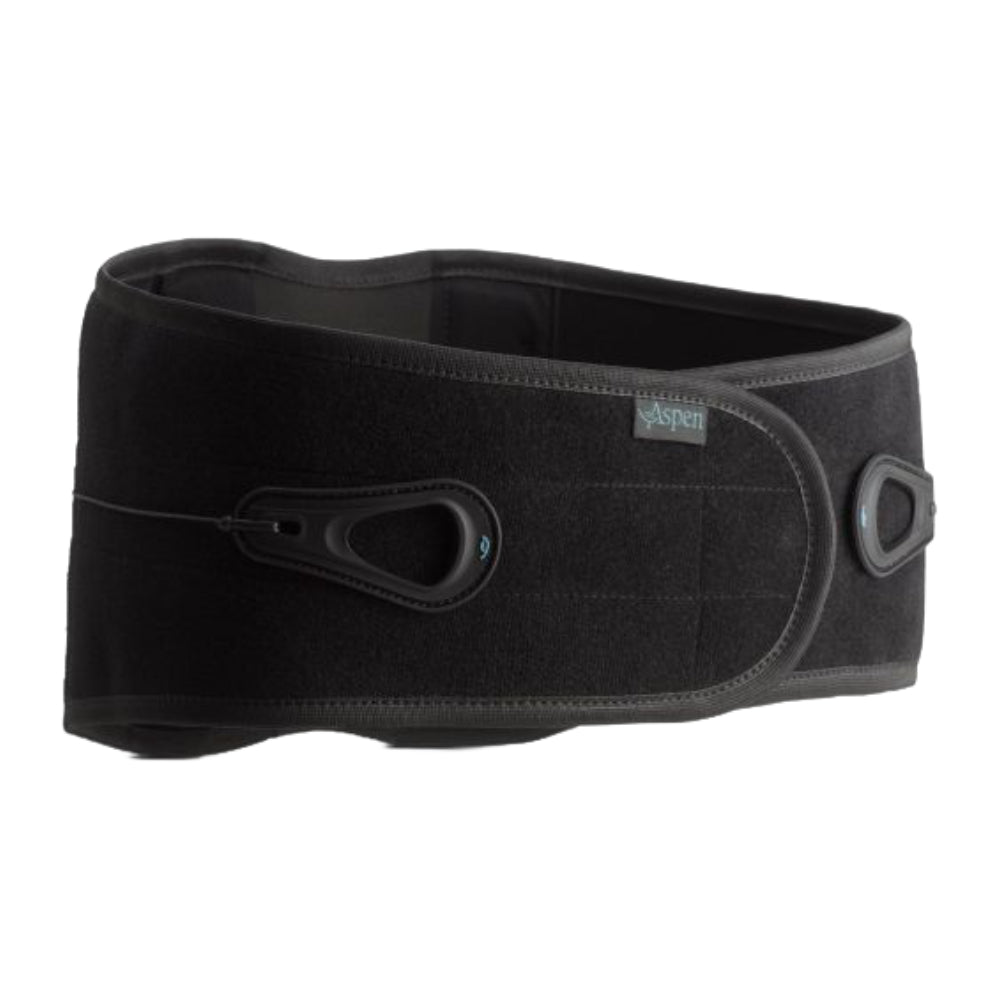 Aspen Lumbar Support - image 3