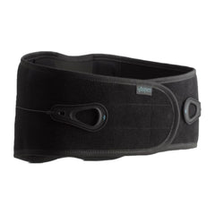 Aspen Lumbar Support - image 3