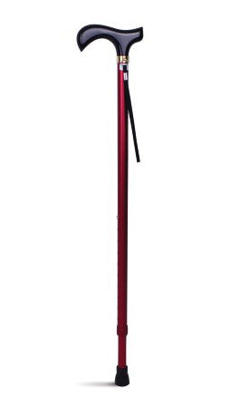 Lifestyle T handle walking stick - Free Shipping