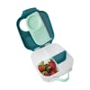 Mini Lunch Box Emerald Forest