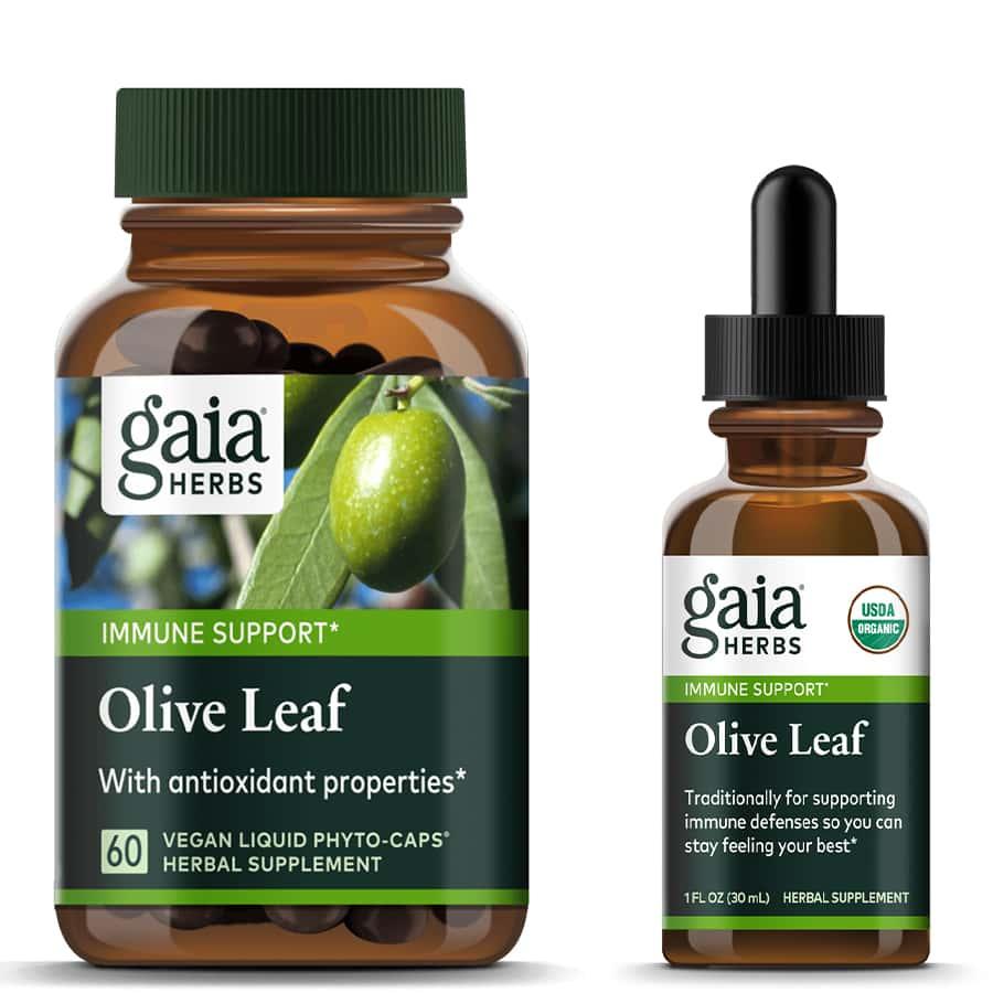 Gaia Herbs Olive Leaf