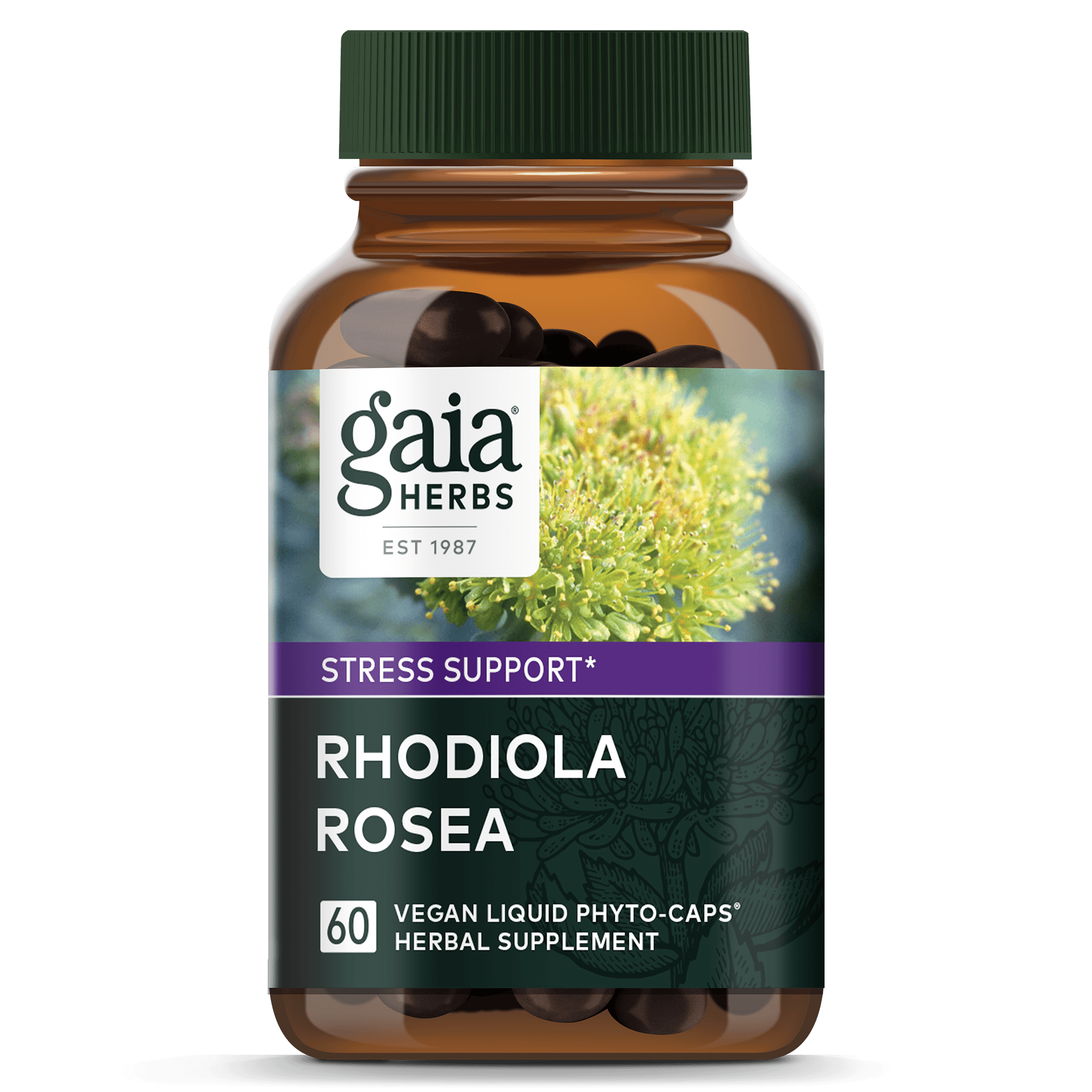 Gaia Herbs Rhodiola Rosea 60 capsules