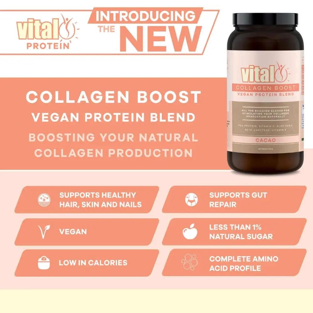 Vital Collagen Boost Vegan Protein Blend Cacao 500GM Active Recovery Plant Formula,Active Recovery PlantFormula,advanced recovery,collagen,collagen Boost,collagen formula,Collagen Protein,Collagen Protein Chocolate,collagen repair,collagen support,Comfort