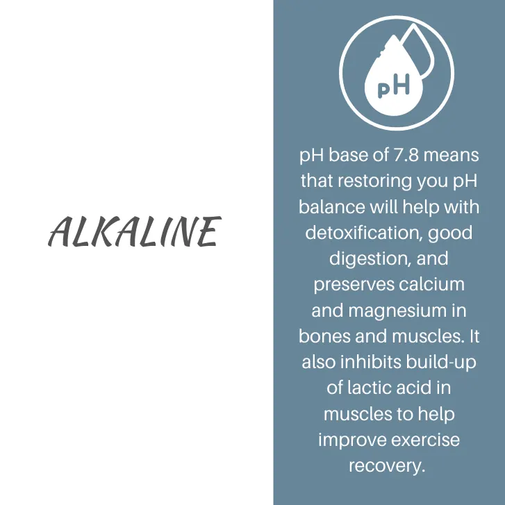 Vital Active Recovery Plant Formula 500GM Active Recovery Plant Formula,Active Recovery PlantFormula,advanced recovery,Comfort and performance,Exercise performance,issues,lifestream spirulina performance,muscle function,muscle performance,Muscle recovery,