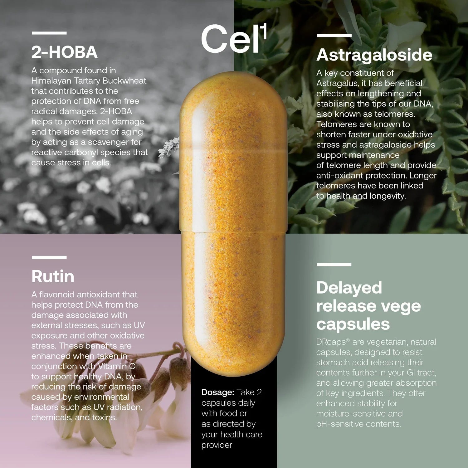 SRW Laboratories Cel 123 Rejuvenation Series | Cellular Renewal Support | Dietary Supplement (3x60 Veg Capsules)