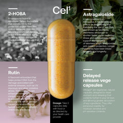 SRW Laboratories Cel 123 Rejuvenation Series | Cellular Renewal Support | Dietary Supplement (3x60 Veg Capsules)