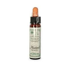 Bach Flowers Mustard 10ml