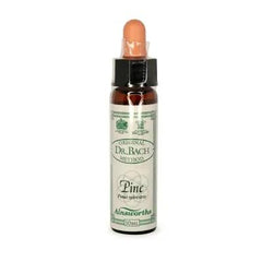 Bach Flowers Pine Self-Acceptance And Inner Calm Remedy 10ml