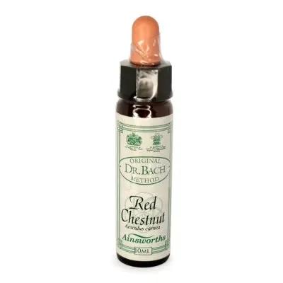 Bach Flowers Red Chestnut Eases Over Concern For Others Remedy 10ml