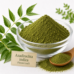 Green neem leaf powder in a glass bowl with fresh neem leaves