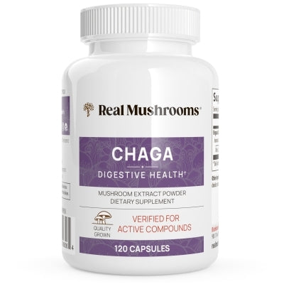 Chaga Extract - 120 caps product image
