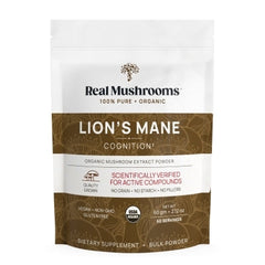 Lion's Mane Extract - 60g product image