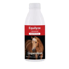 Liposomal Equilyze 450ml