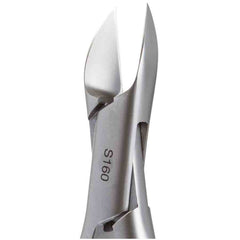 Westminster Elegance S160 Clipper 16CM Ea - image 2